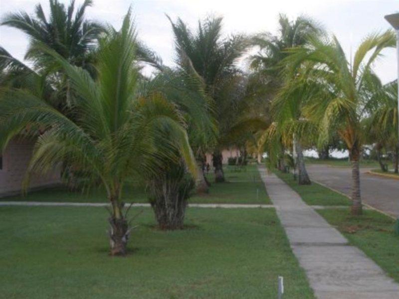 Horizontes Playa Larga Hotell Zapata Swamp Exteriör bild